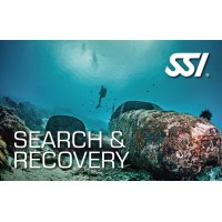 SSI Search & Recovery