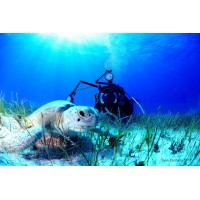 SDI Under Water Photographer Specialty