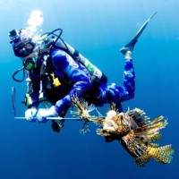 NAUI Underwater Hunter and Collector