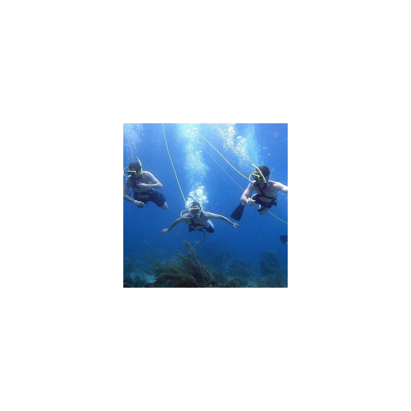 NAUI Recreational Hookah Diver