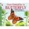 From Caterpillar to Butterfly (Let`s-Read-and-Find-Out Science, Stage 1)