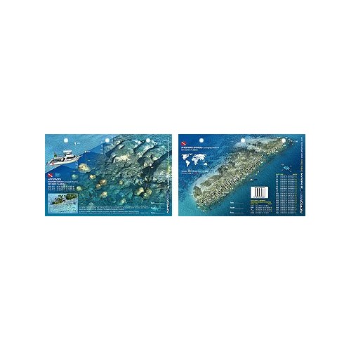 Wester Samboo in Key West, Florida (8.5 x 5.5 Inches) (21.6 x 15cm) - New Art to Media Underwater Waterproof 3D Dive Site Map
