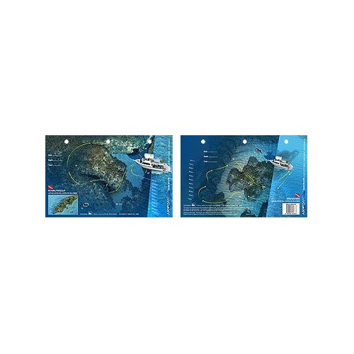 Marilyn`s Cut/Meadowsin Little Cayman, Cayman Islands (8.5 x 5.5 Inches) - New Art to Media Underwater Waterproof 3D Dive Site M