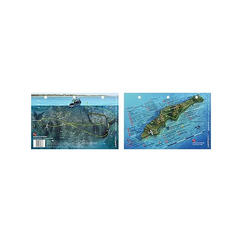 Randy`s Gazebo in Little Cayman, Cayman Islands (8.5 x 5.5 Inches) - New Art to Media Underwater Waterproof 3D Dive Site Map