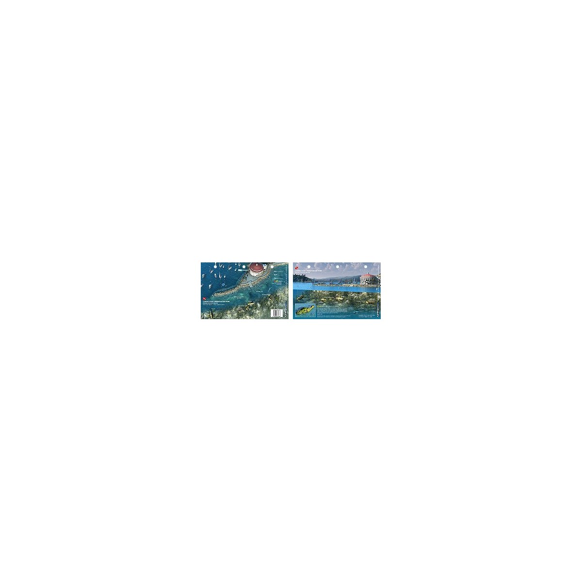 Avalon in Catalina Island, California (8.5 x 5.5 Inches) (21.6 x 15cm) - New Art to Media Underwater Waterproof 3D Dive Site Map