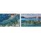 Avalon in Catalina Island, California (8.5 x 5.5 Inches) (21.6 x 15cm) - New Art to Media Underwater Waterproof 3D Dive Site Map