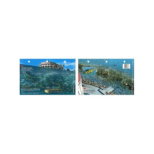 Old Swim Platform in Catalina Island, California (8.5 x 5.5 Inches) - New Art to Media Underwater Waterproof 3D Dive Site Map