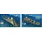 Aikoku Maru in Truk Lagoon, Micronesia (8.5 x 5.5 Inches) (21.6 x 15cm) - New Art to Media Underwater Waterproof 3D Dive Site Ma