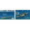 Mahi in Oahu, Hawaii (8.5 x 5.5 Inches) (21.6 x 15cm) - New Art to Media Underwater Waterproof 3D Dive Site Map