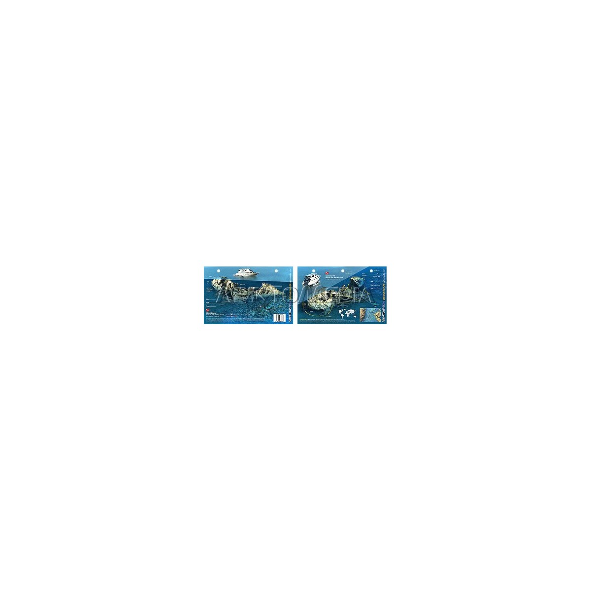 Kormoran in the Red Sea, Egypt (8.5 x 5.5 Inches) (21.6 x 15cm) - New Art to Media Underwater Waterproof 3D Dive Site Map