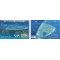 Sa`ab Abu Nuhas in the Red Sea, Egypt (8.5 x 5.5 Inches) (21.6 x 15cm) - New Art to Media Underwater Waterproof 3D Dive Site Map