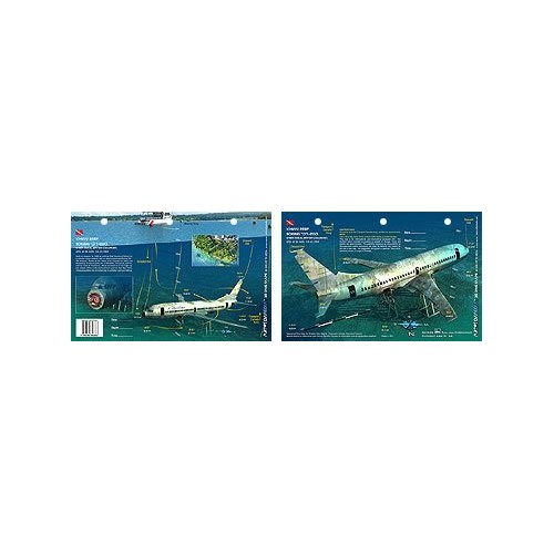 Xihwu Boeing 737 in Chemainus, British Columbia, Canada (8.5 x 5.5 Inches) - New Art to Media Underwater Waterproof 3D Dive Site